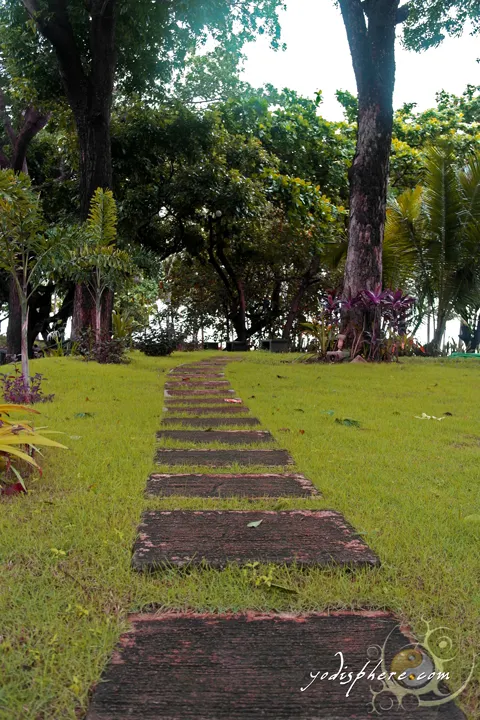 Concrete slabs over green grass under trees as garden elements 