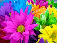 صور زهور 2017 ورود رومانسية اجمل زهور الحب
