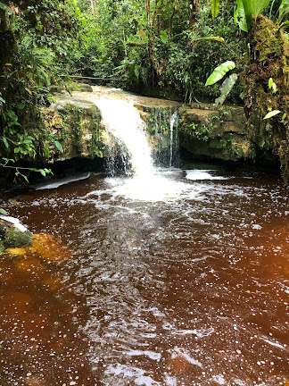 5 lugares turísticos que debes conocer si visitas Limón Indanza