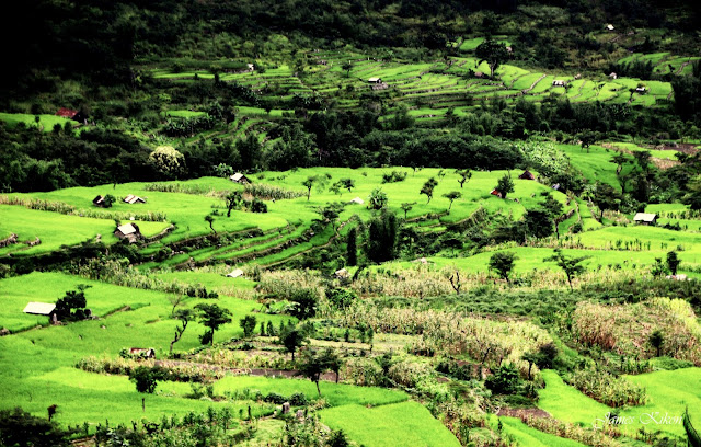 Khonoma Green Village Kohima Nagaland Terrace Fields