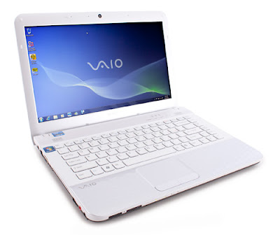 Sony VAIO VPC-EG16FM