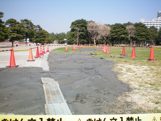 Terremoto de Japón en Tokio