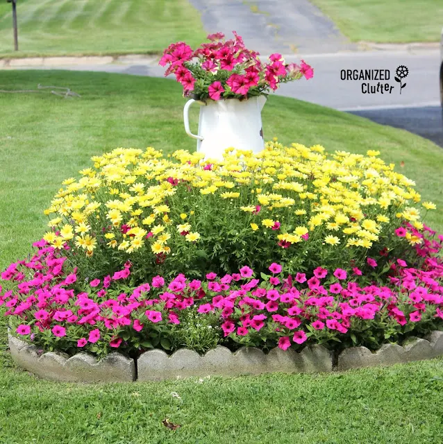 Photo of the same small annual garden over the years.