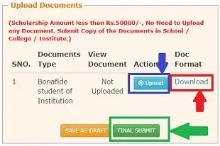 10th & 12th Pass 2022 NSP Scholarship Apply,national scholarship portal,nsp scholarship,national scholarship portal,bihar nsp scholarship 2022