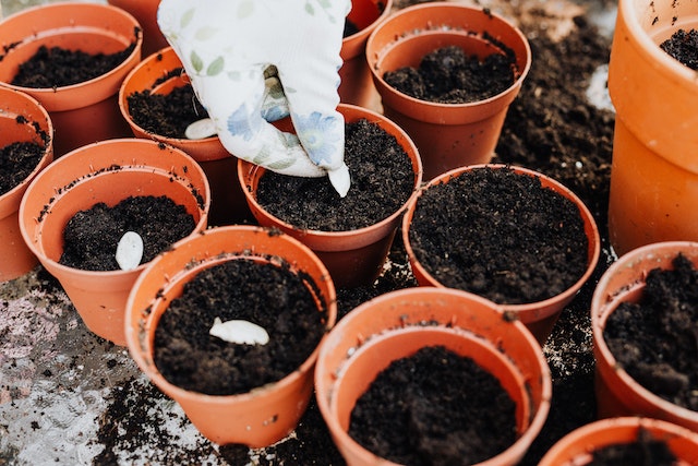 How to Make Planters At Home: Easy And Inexpensive