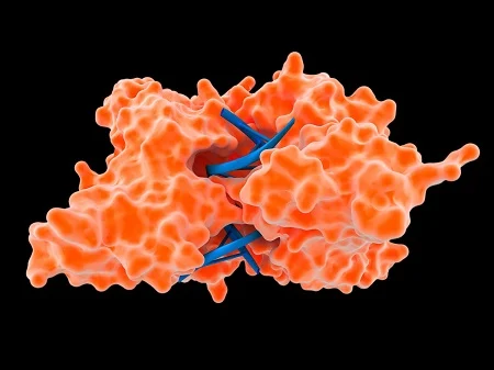 What is enzyme immunoassay