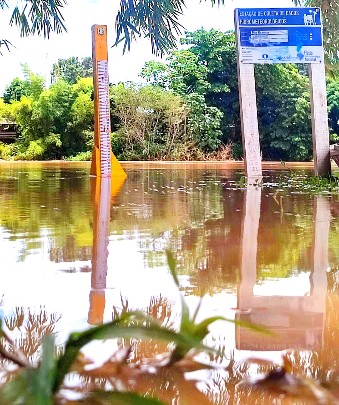 Coordenador da Defesa Civil de Rio Branco se manifesta a respeito do repiquete do Rio Acre