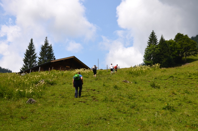 Eine Gruppe von Menschen wandert über eine Wiese bergauf. Im Hintergrund ist das Dach einer Almhütte zu sehen.