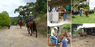 View Adelaide Pillars Horseriding