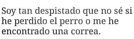 Soc tan despistat que no sé si hay perdut lo gos o m'hay trobat una correcha. 😂