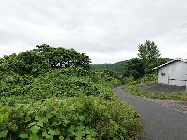 鳥取県米子市淀江町小波　高速道路沿いの道