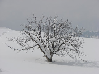 kaghan