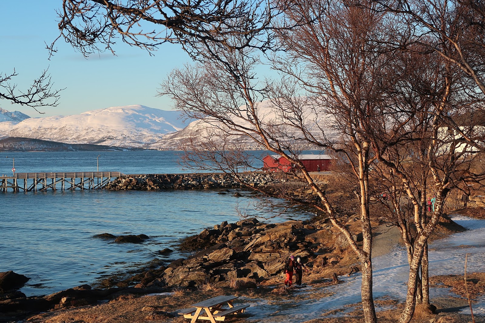 Co zobaczyć w Tromso