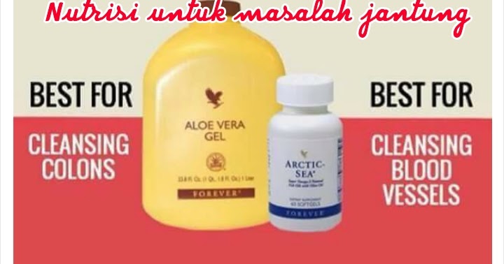 Aloe vera Pengedar Ampang, Pandan,Cheras - Pengedar 