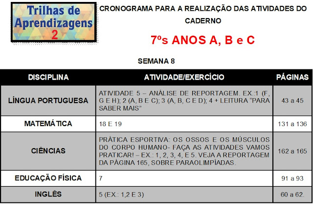 Mulheres da Warner sem efeitos colaterais Bra de Angola