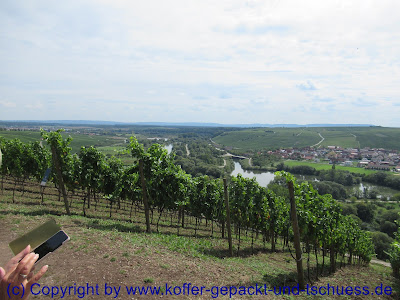 Volkach Mainschleife Vogelsburg