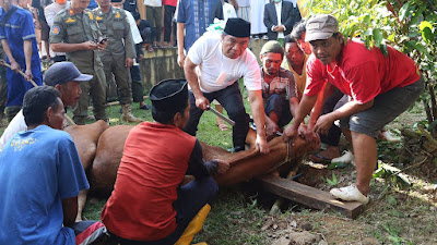 Bersertifikat Juleha, Pj Gubernur Al Muktabar  Potong 10 Hewan Kurban, Salah Satunya Sapi Bantuan Presiden