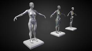 Female body model 3d free | Female Body model 3D