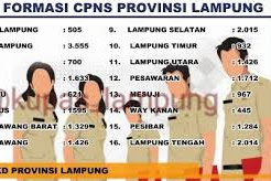 Formasi CPNS 2018 Lampung