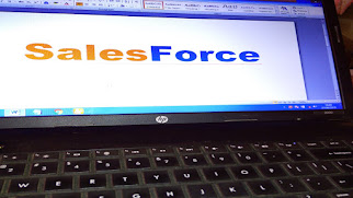 Computer screen display of sales force.