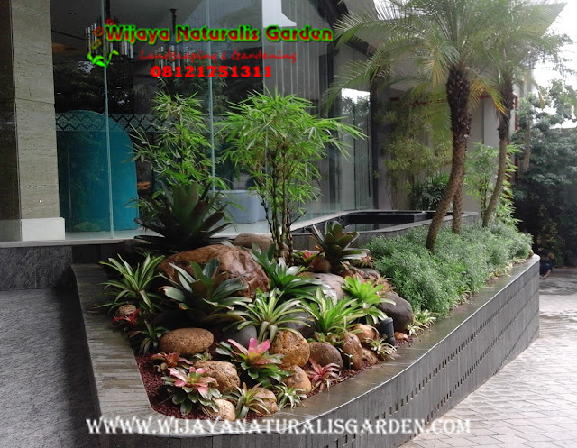 Tukang Taman Surabaya,Tukang Taman Surabaya Garden Center,Tukang Taman Surabaya Jasa pembuatan taman dan kolam minimalis Surabaya,Tukang Taman Surabaya alam asri,Tukang Taman Surabaya,Tukang Taman Surabaya murah,Tukang Taman Surabaya barat,Tukang Taman di Surabaya,Harga Tukang Taman Surabaya,Tukang Taman Murah di Surabaya,Jasa Tukang Taman di Surabaya,Tukang Buat Taman di Surabaya,Jasa Tukang Taman Surabaya,Tukang Taman Murah Surabaya,Tukang Taman di Surabaya,Tukang Taman Surabaya Wijaya Naturalis,Tukang Pembuatan Taman Surabaya,Ahli Tukang Taman di Surabaya,Tempat Tukang Pembuatan Taman di Surabaya,Jasa Tukang Pembuatan Taman di Surabaya,Lokasi Tukang Pembuatan Taman di surabaya,Alamat Tukang Pembuatan Taman di Surabaya,Tempat Tukang Pembuatan Taman Surabaya,Jasa Tukang Pembuatan Taman Surabaya,Lokasi Tukang Pembuatan Taman Surabaya,Alamat Tukang Pembuatan Taman Surabaya