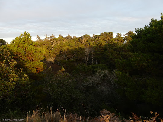 gentle fall and rise of land