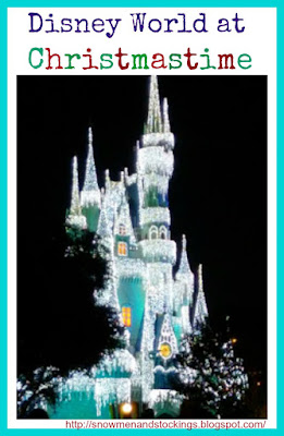 Disney World at Christmastime