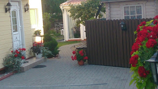 украшаем дом пеларгонией