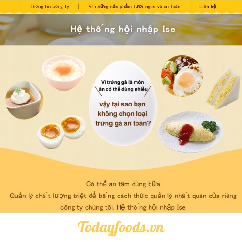 [ todayfoods ] Trứng Gà ăn sống Nhật Bản Ise cao cấp (10 quả/ hộp) [GIAO HỎA TỐC HCM]