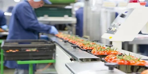 مصانع الأغذية في سلطنة عمان
