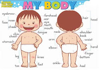 MY BODY