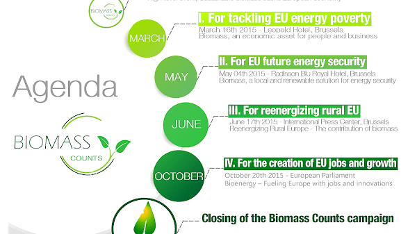 Facts About Biomass Energy