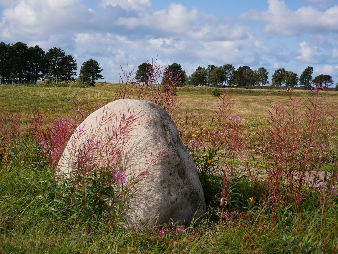 Läsö