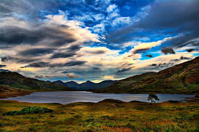 beautiful nature wallpaper