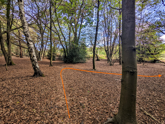 Turn right at the junction on Brickendon Liberty footpath 21