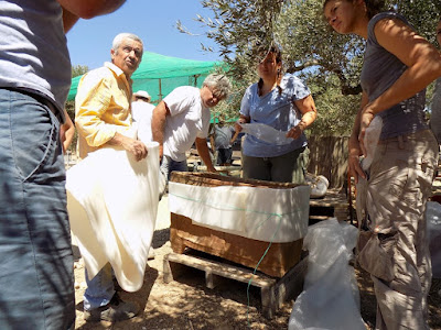 Σπουδαία ευρήματα στην Ιεράπετρα: Στο… φως Μινωικός τάφος