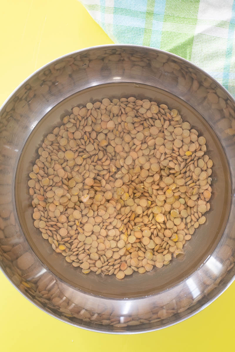 Uncooked brown lentils being soaked in a silver bowl full of water.