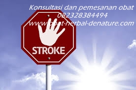 obat stroke herbal,obat herbal stroke,obat stroke denature,obat lumpuh separo,obat stroke ringan,obat stroke berat