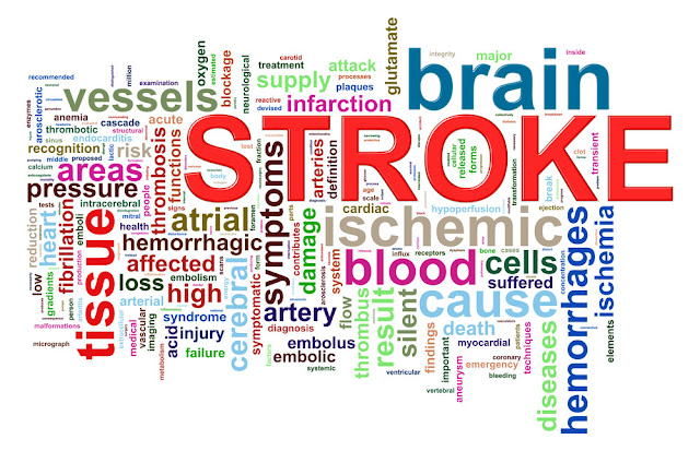 foods to eat for stroke recovery, life after stroke, reduce the risk of stroke, healthy recovery after stroke, stroke, eating well after a stroke, fruits and vegetables, dietician, recovery after stroke, risk of stroke, cholesterol, sodium, potassium