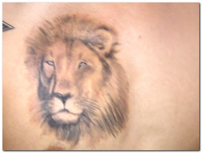 Lion Tattoos and Tattoo Designs Pictures Gallery 10