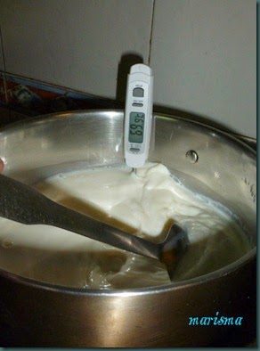 queso fresco5 copia