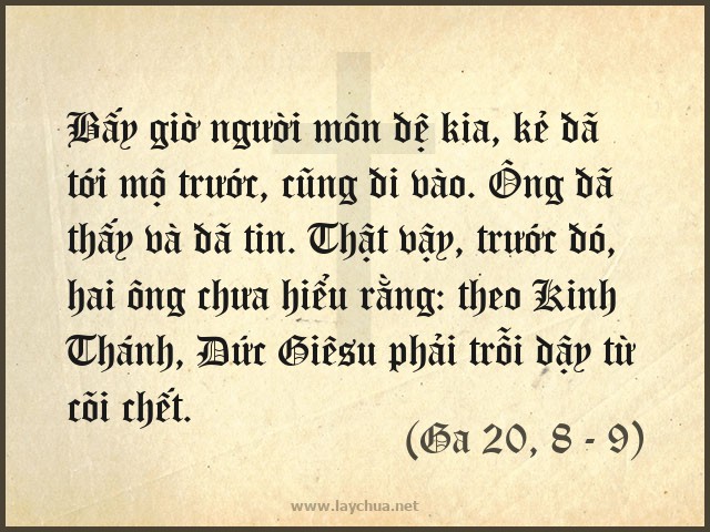 Bấy giờ người môn đệ kia, kẻ đã tới mộ trước, cũng đi vào. Ông đã thấy và đã tin. Thật vậy, trước đó, hai ông chưa hiểu rằng: theo Kinh Thánh, Ðức Giêsu phải trỗi dậy từ cõi chết. (Ga 20, 8 - 9)