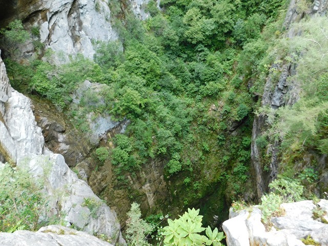 DSCN7934