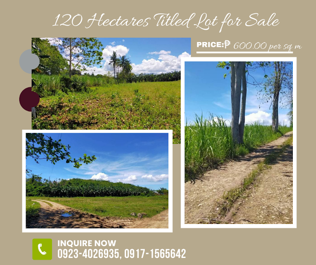 120 Hectares Lot in Bogo City Cebu