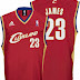 Official NBA Jerseys - Cleveland - James 23