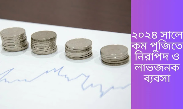 ২০২৪ সালে কম পুজিতে নিরাপদ ও লাভজনক ব্যবসা
