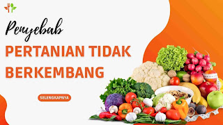 Penyebab Pertanian Tidak Maju