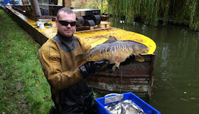 http://www.droitwichstandard.co.uk/2015/01/30/news-Large-scale-operation-to-save-thousands-fish-after-Droitwich-Canal-leak-125318.html