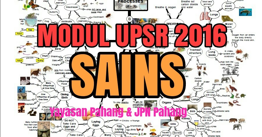 UPSR Modul Sains Pasti A - Pahang