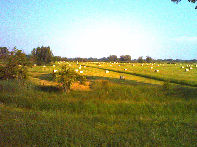 Liemers landschapje